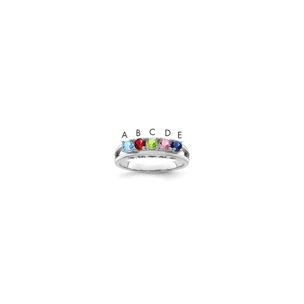 14k White Gold Family Jewelry Ring Mounting