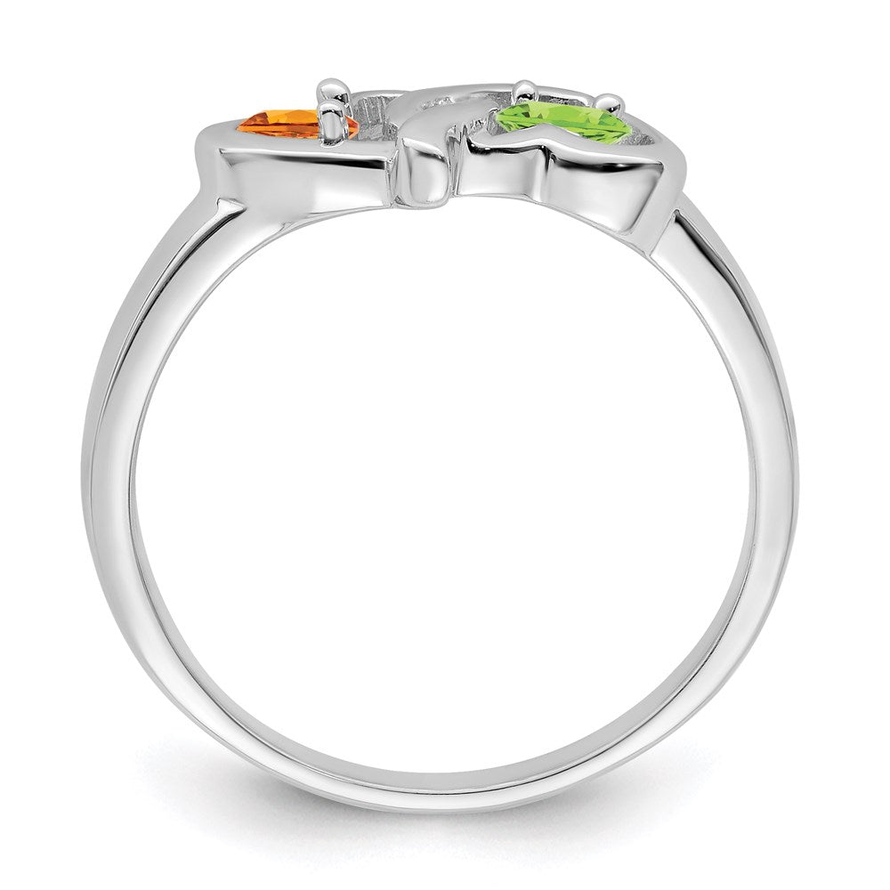 14k White Gold Family Jewelry Ring Mounting