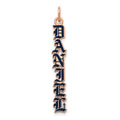 14k Rose Gold English Towne Font Epoxy Name Plate Charm