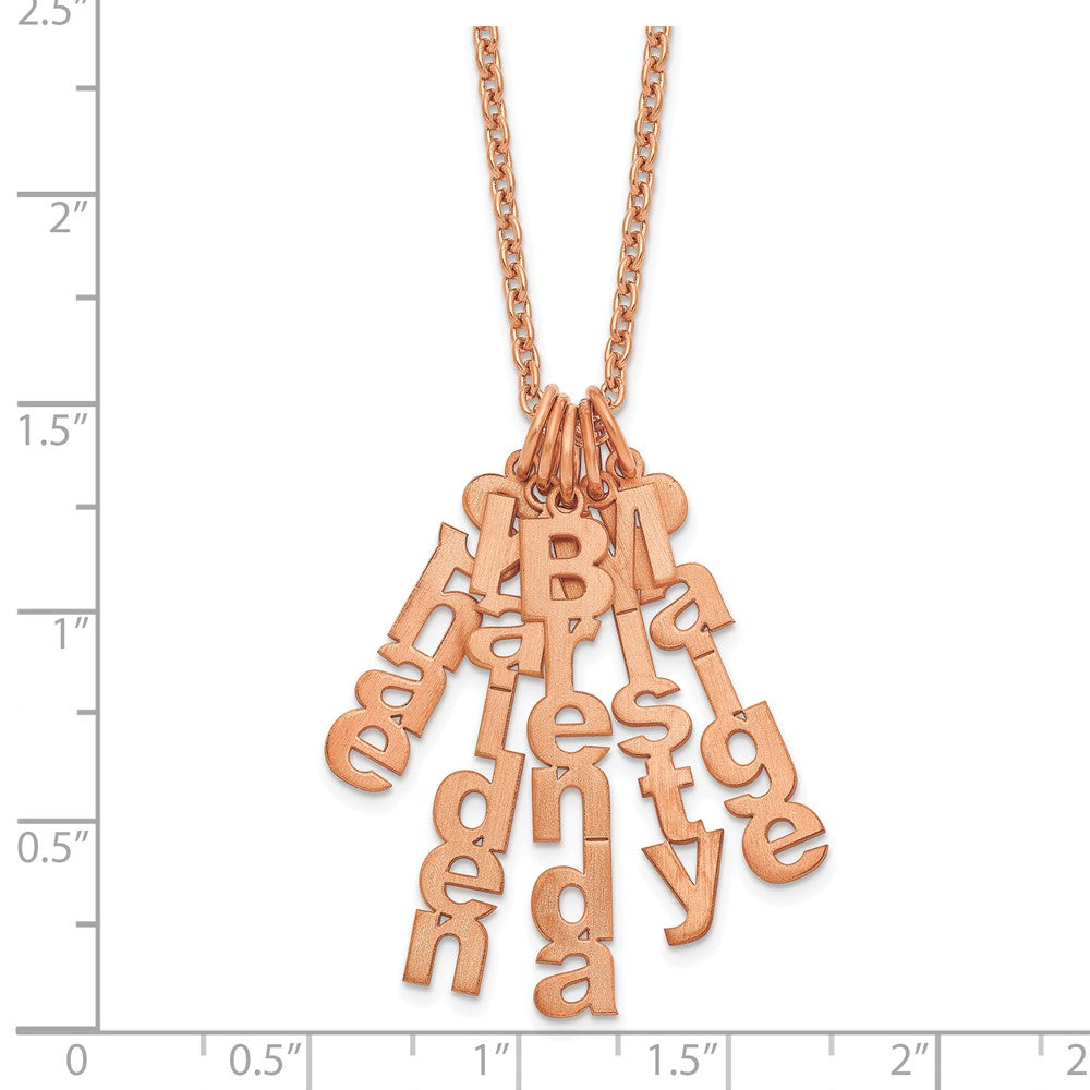 SS/Rose-plated Brushed Vertical 5 Name Charm Necklace