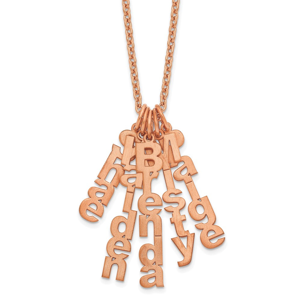 SS/Rose-plated Brushed Vertical 5 Name Charm Necklace