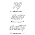 14k White Gold Polished Name Plate