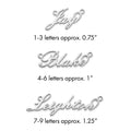 Sterling Silver/Rhodium-plated Polished Name Plate