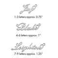 10k White Gold Polished Name Plate