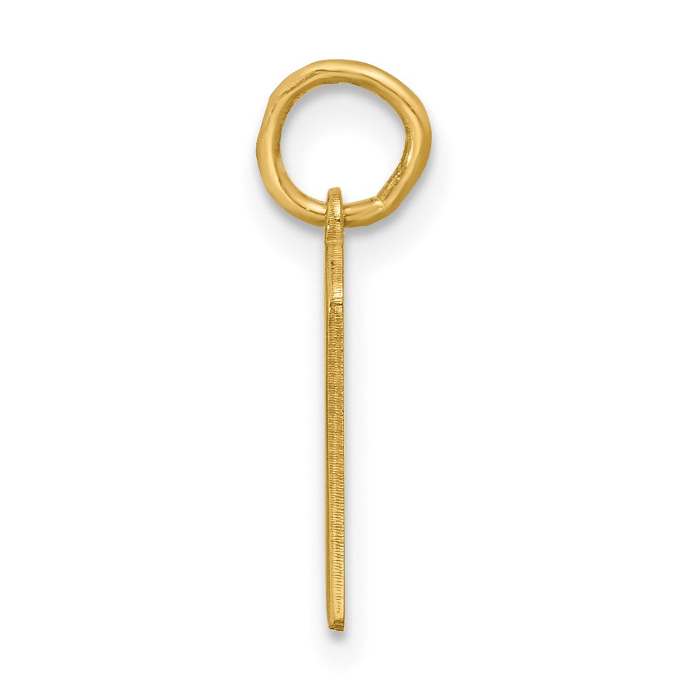 14k Yellow Gold Upper/Lower-case Epoxy Initial Charm