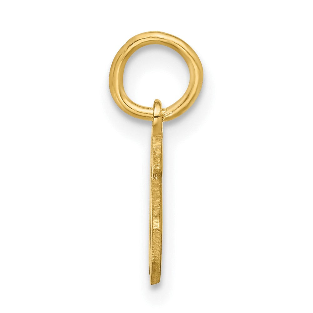 14k Yellow Gold Upper/Lower-case Epoxy Initial Charm