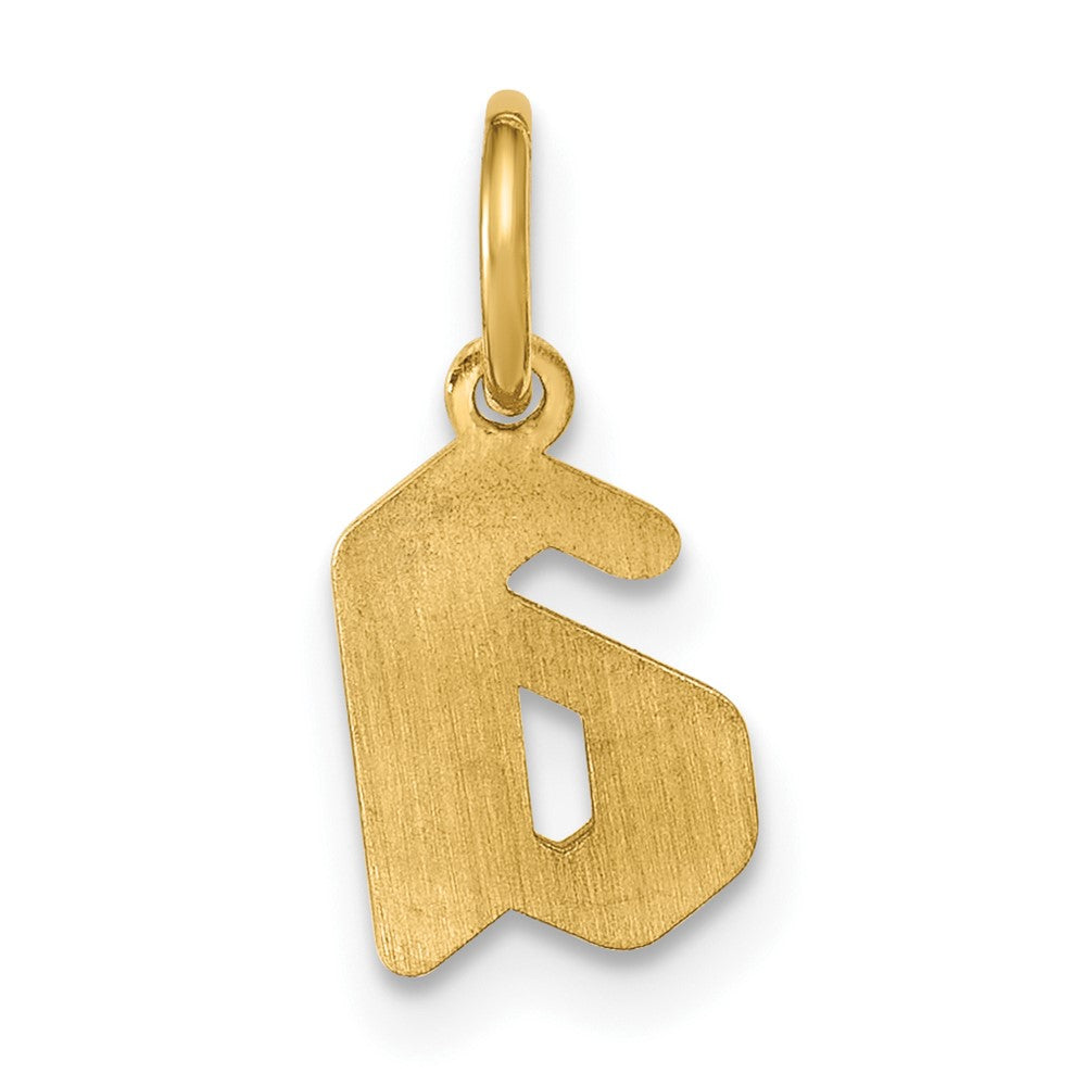 14k Yellow Gold Upper/Lower-case Epoxy Initial Charm