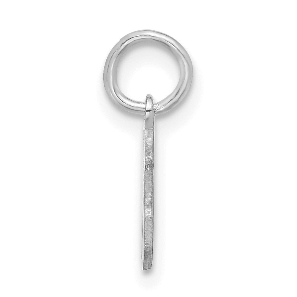 14k White Gold Upper/Lower-case Epoxy Initial Charm