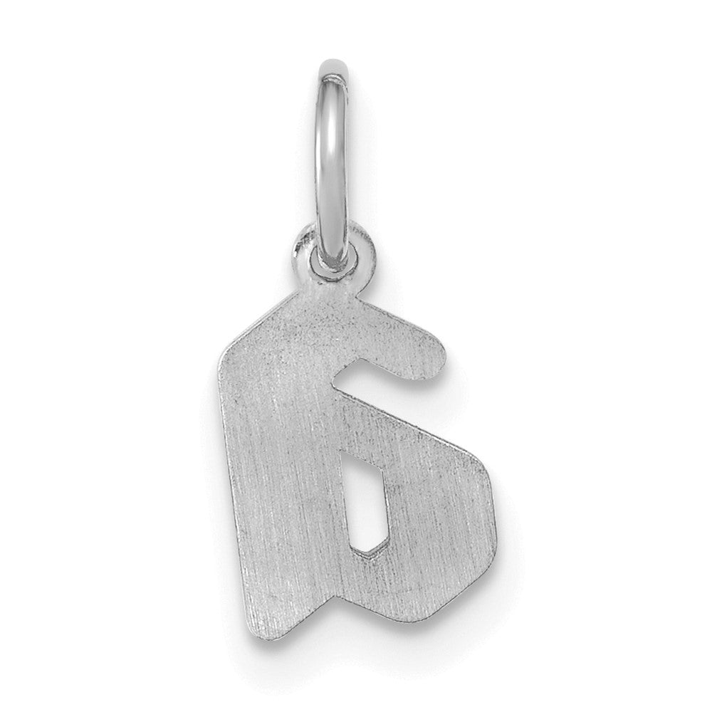 14k White Gold Upper/Lower-case Epoxy Initial Charm
