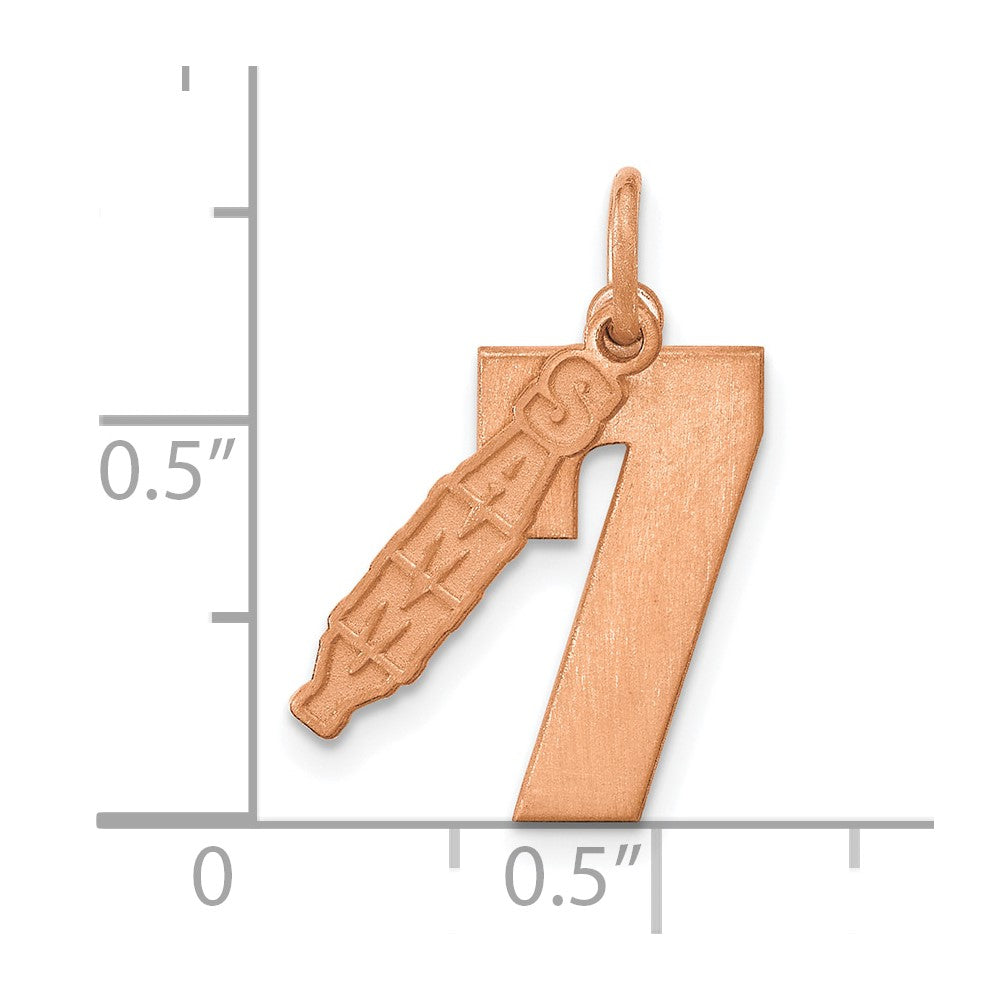 SS/Rose Gold-Plated 2 Piece Satin Name with Number Charm