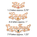 14k RG w/ 14k Rose-plated Bezel Birthstone Flower Name Plate
