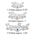 SS/Rhod-plated with SS Bezel Birthstone Flower Name Plate