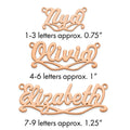 Sterling Silver/Rose-plated Sunglass Name Plate