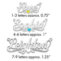 Sterling Silver/Rhodium-plated Epoxy Heart Name Plate