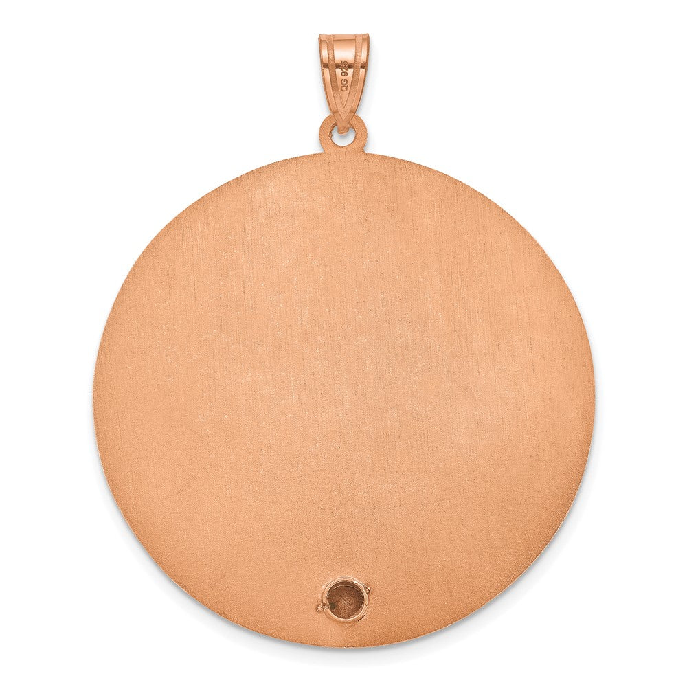 SS/Rose-plated Circle w/1 Birth Flower and Birthstone Pendant