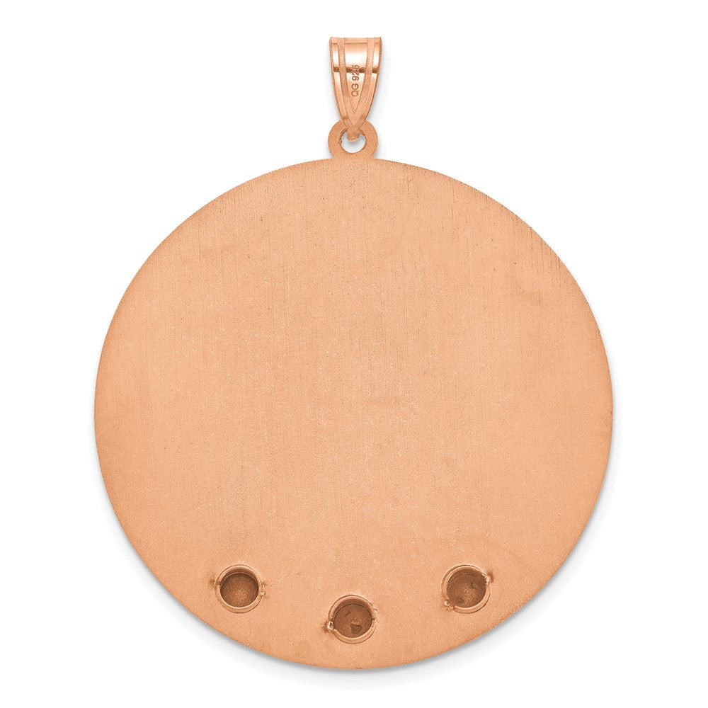 SS/Rose-plated Circle w/3 Birth Flower and Birthstone Pendant