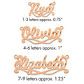 14k Rose Gold Diamond-cut Sunglass Name Plate