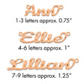 14k Rose Gold Diamond-cut Name Plate