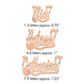 14k Rose Gold Diamond-cut Heart Name Plate