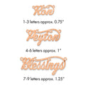14k Rose Gold Satin Diamond-cut Name Plate