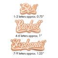 14K Rose Gold 3D Polished Name Plate