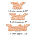 Sterling Silver/Rose-plated 3D Diamond-cut Hearts Name Plate