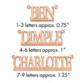 Sterling Silver/Rose-plated Underlined Name Plate