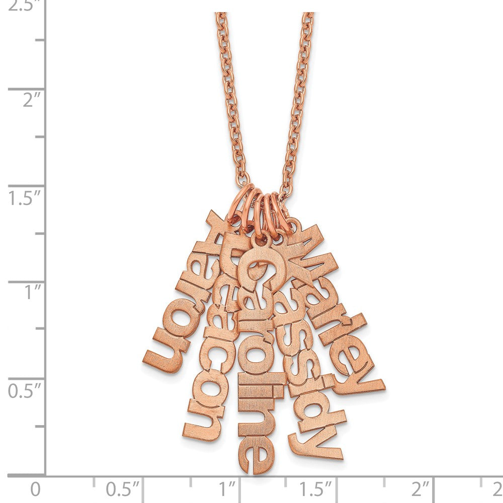 Sterling Silver/Rose-plated Brushed 5 Name Charm Necklace