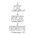 10k White Gold Top Bar Name Plate