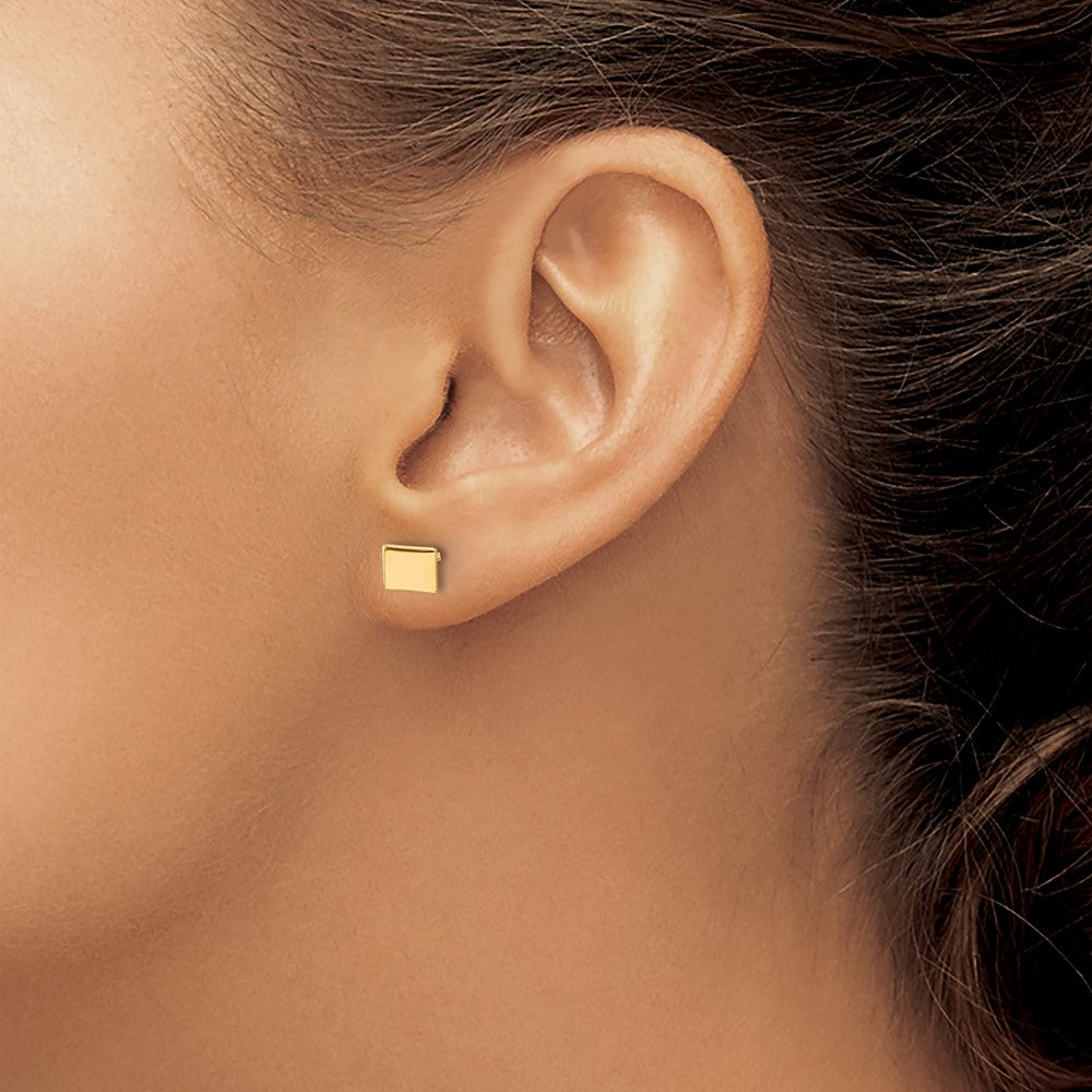 Sterling Silver/Gold-plated Colorado State Earrings