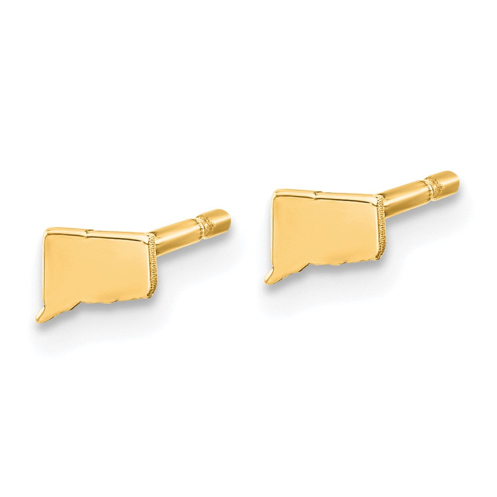 Sterling Silver/Gold-plated Connecticut State Earrings