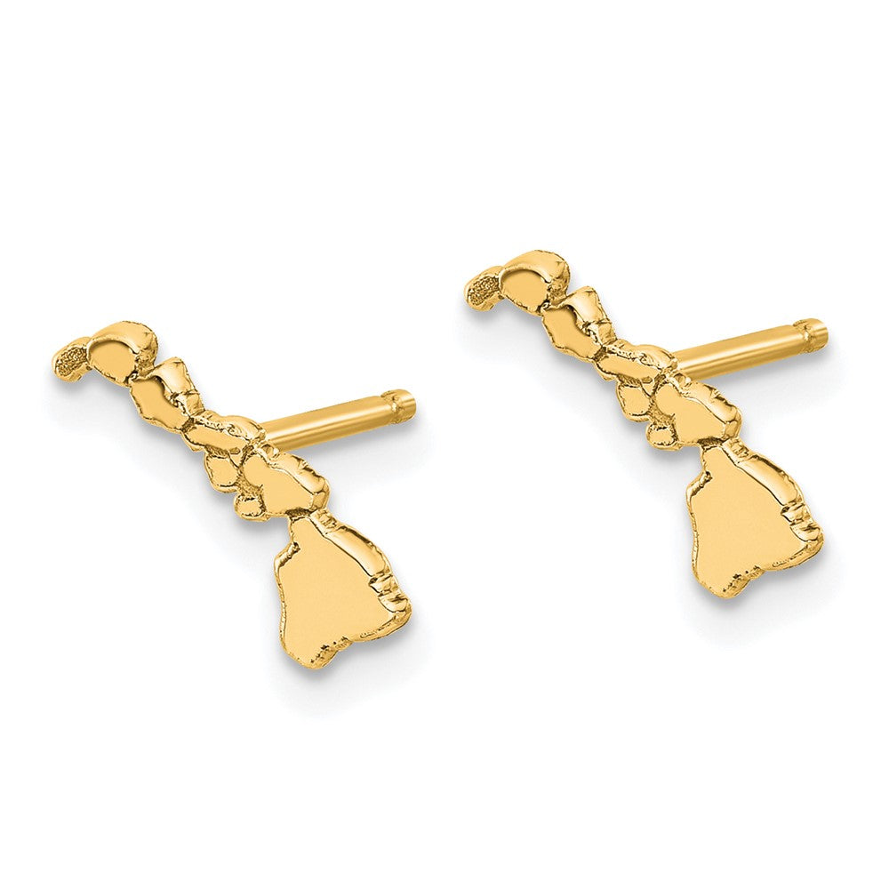 14KY Hawaii State Earrings