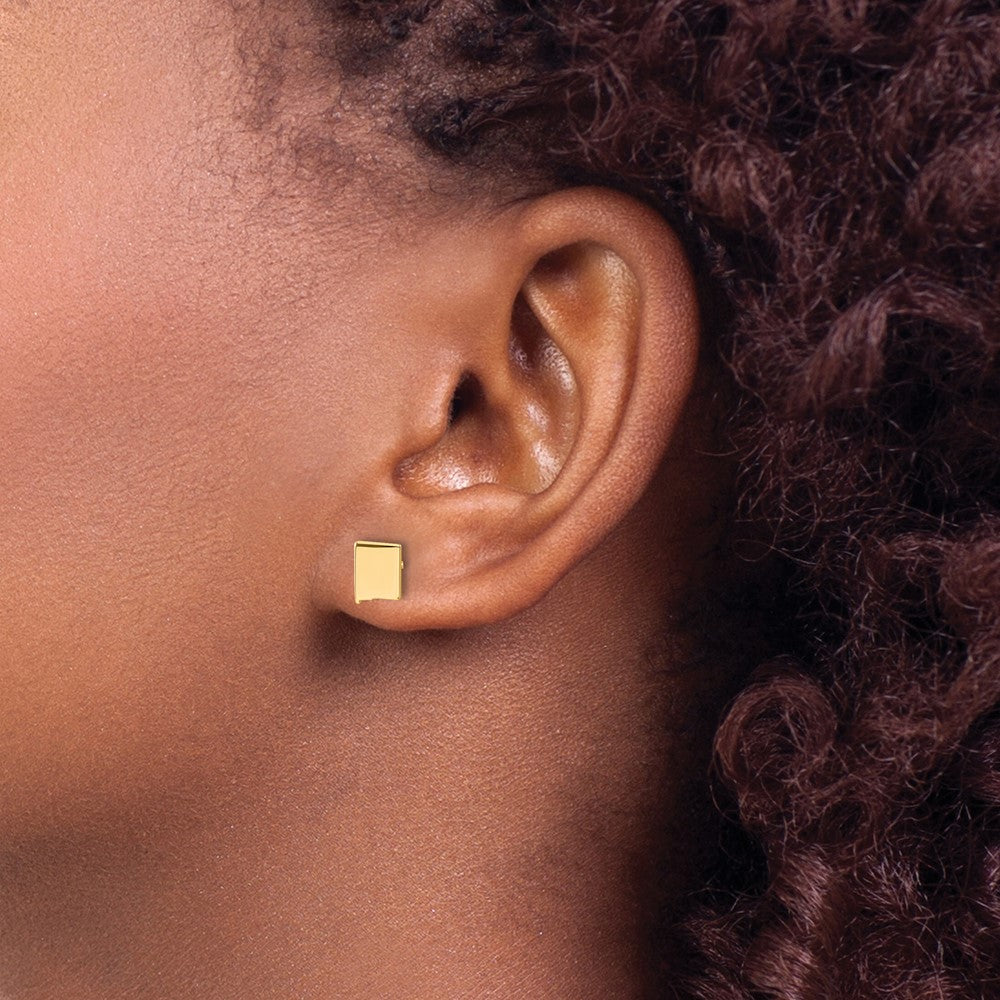 Sterling Silver/Gold-plated New Mexico State Earrings