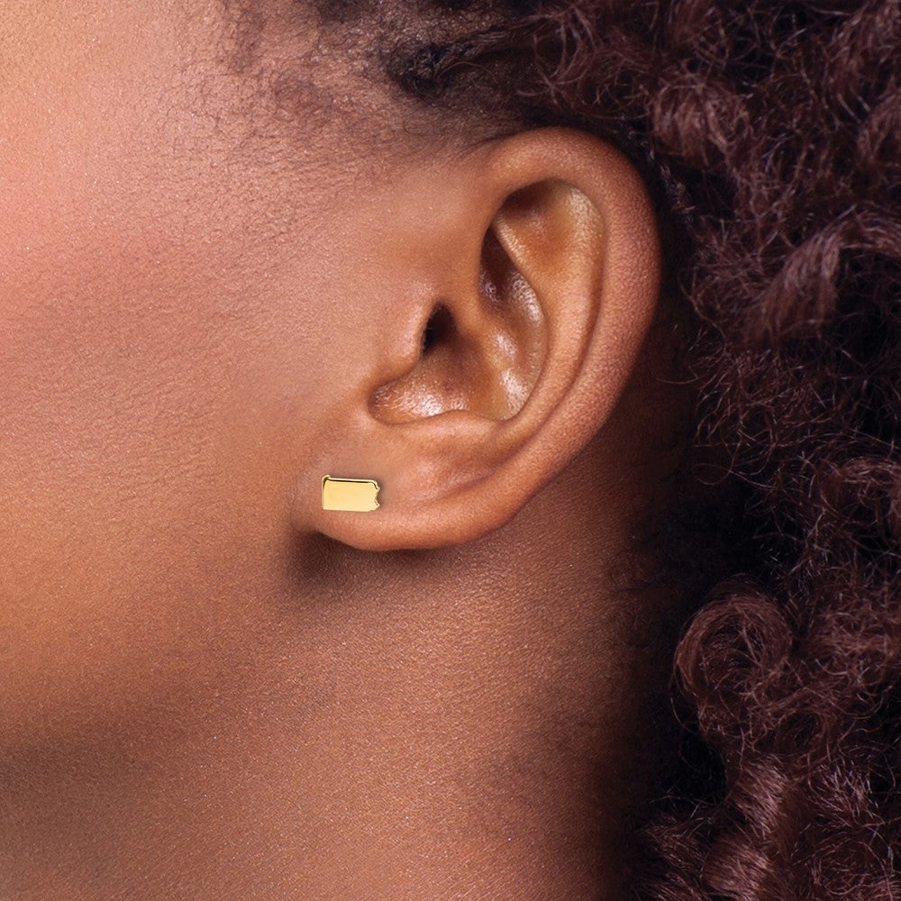 Sterling Silver/Gold-plated Pennsylvania State Earrings