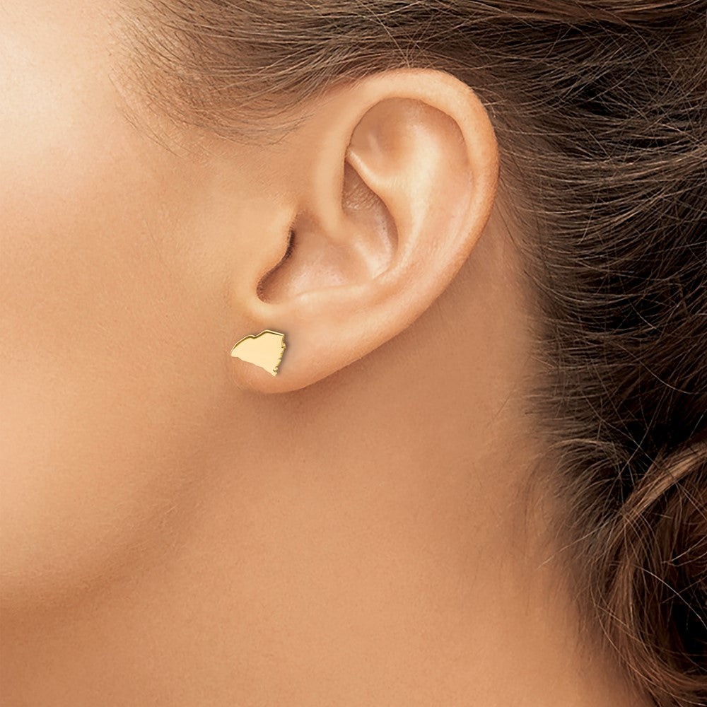 Sterling Silver/Gold-plated South Carolina State Earrings