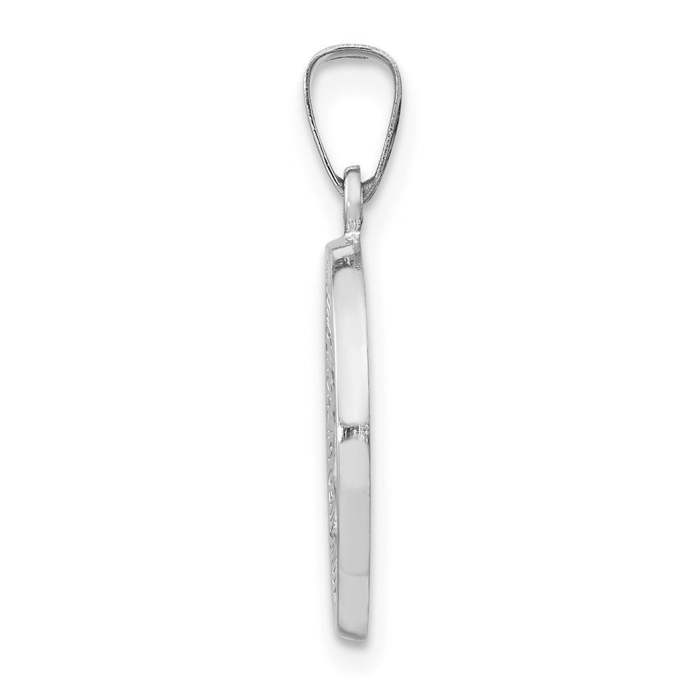 14k White Gold Polished/Satin Miraculous Medal Hollow Pendant