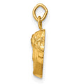 14k Hollow Polished/Satin Small Jesus Medal