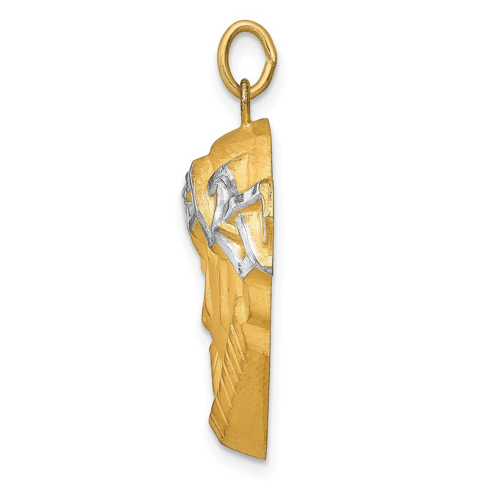 14K Hollow Polished/Satin w/Rhodium Large Jesus Medal