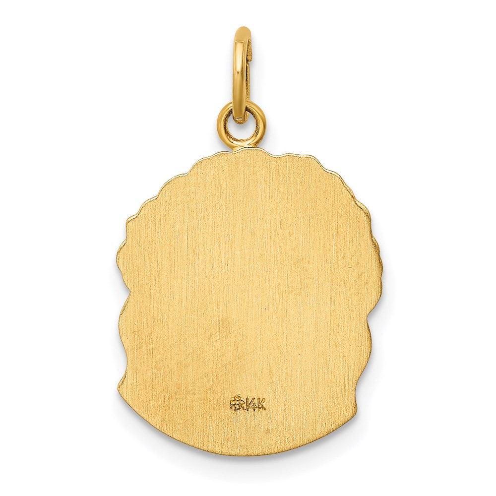 14k Hollow Polished/Satin Medium Jesus Medal