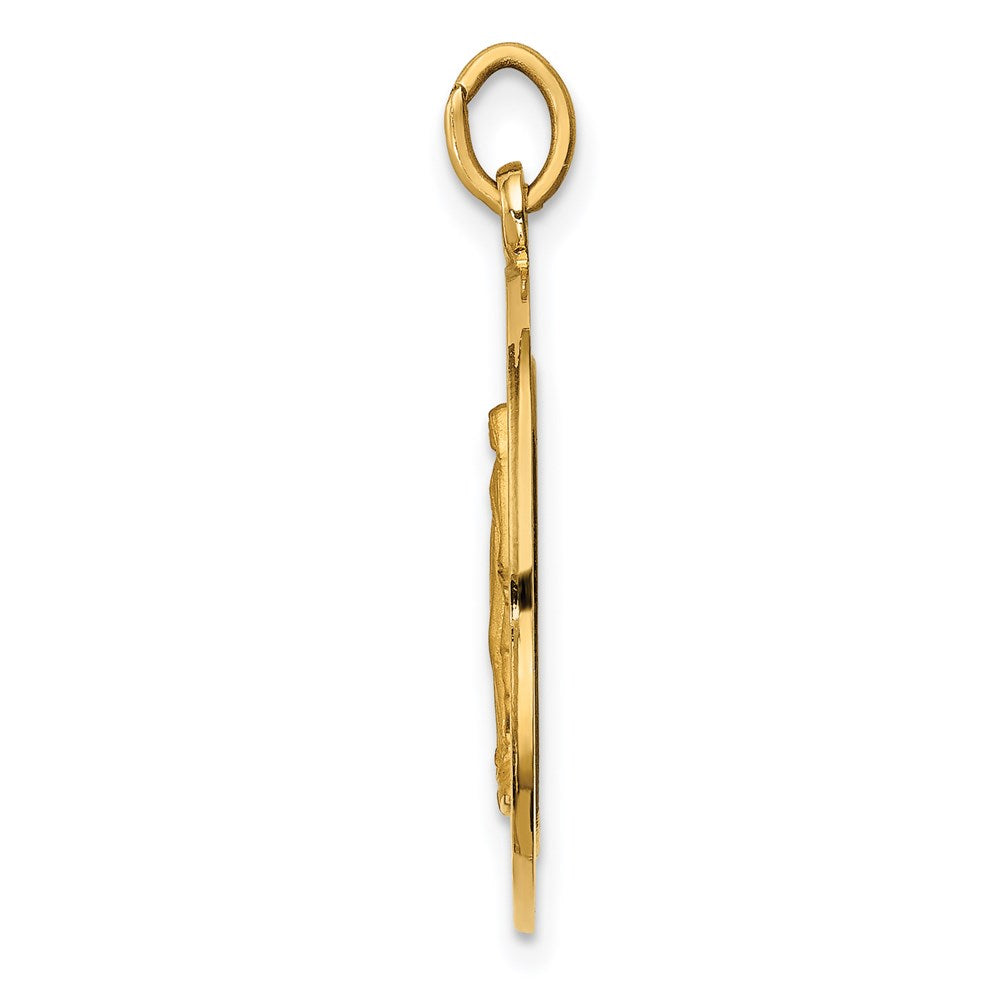 14k Solid Polished/Satin Medium Round Miraculous Medal