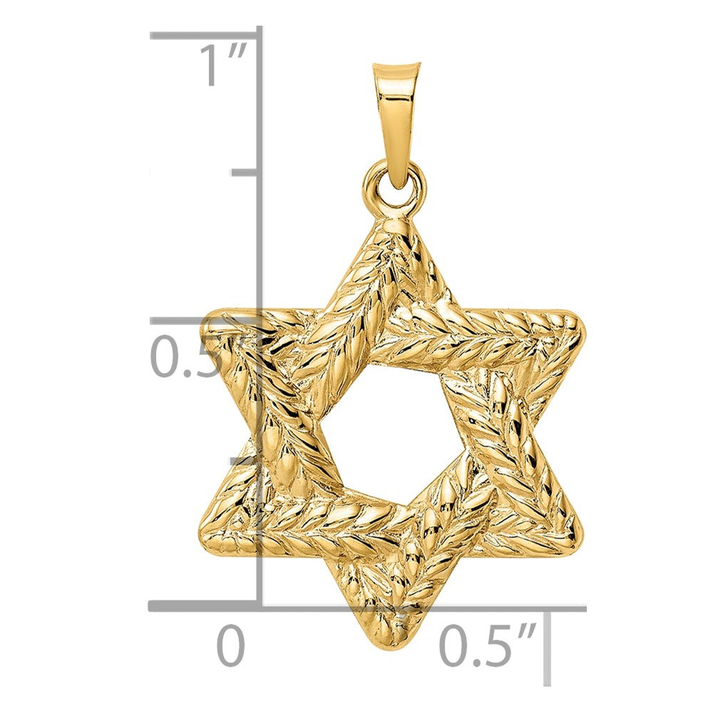 14k Polished and Textured Solid Star of David Pendant