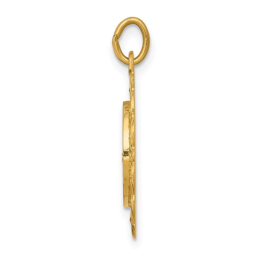 14k Our Lady of Lourdes Medal Pendant