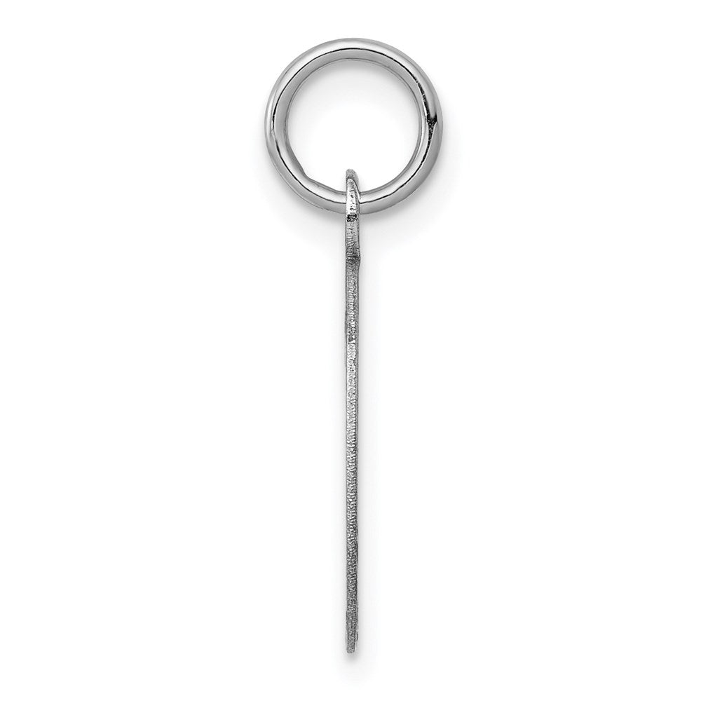 14k White Gold Plain .013 Gauge Oval Engravable Disc Charm