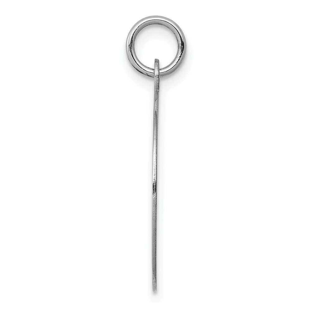14k White Gold Plain .027 Gauge Round Engravable Disc Charm