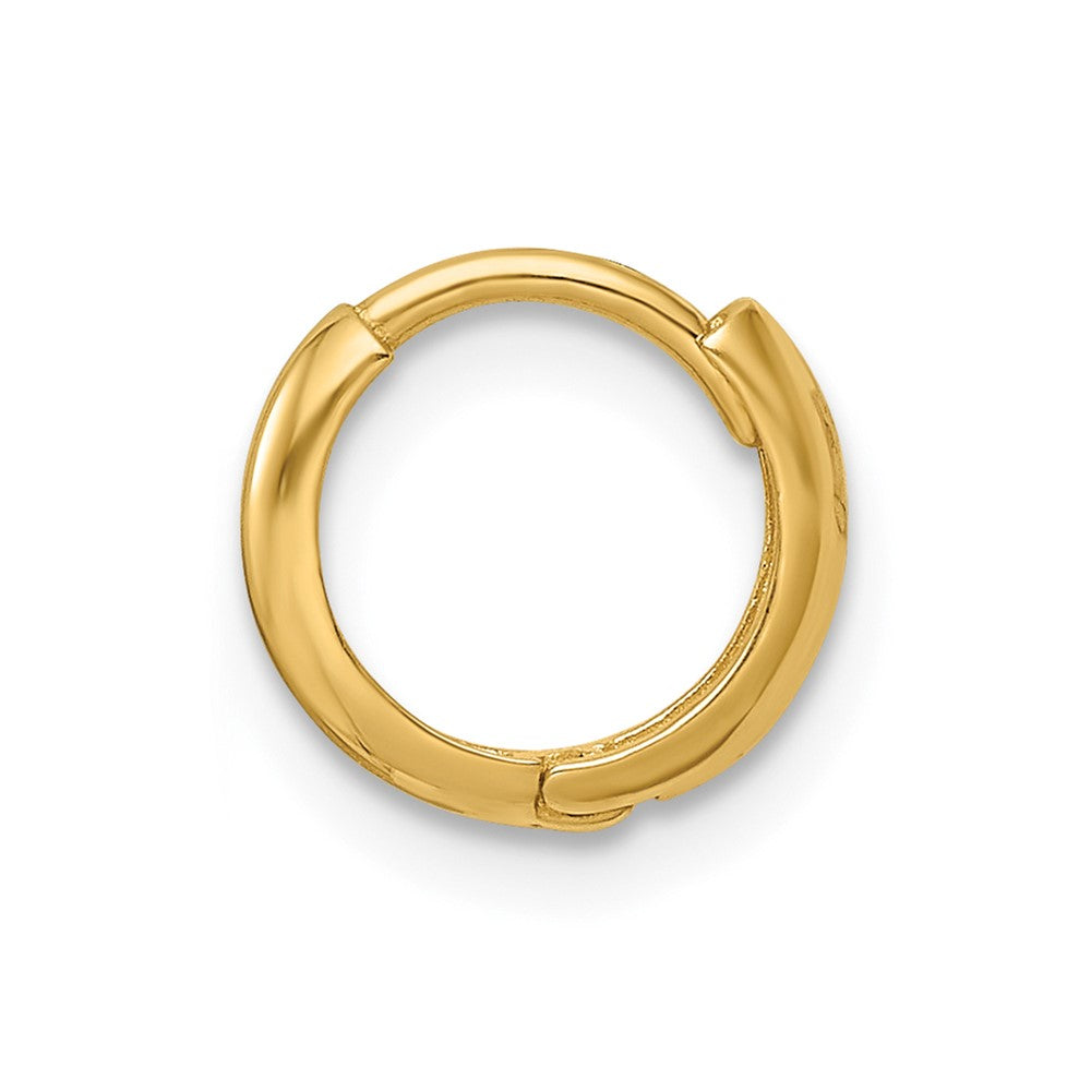 Single 14k Polished Hinged Hoop Earring
