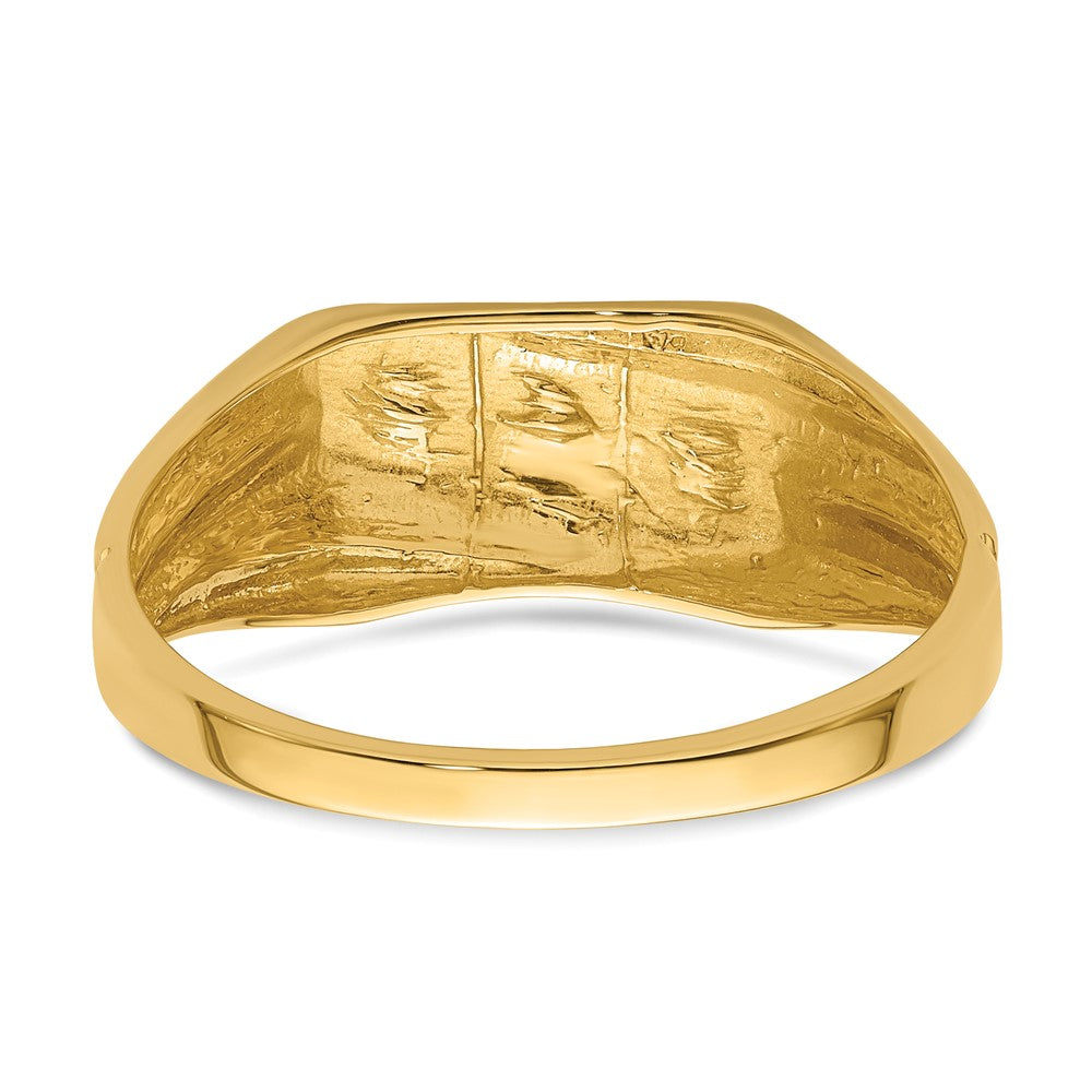 14k AA Diamond men's ring