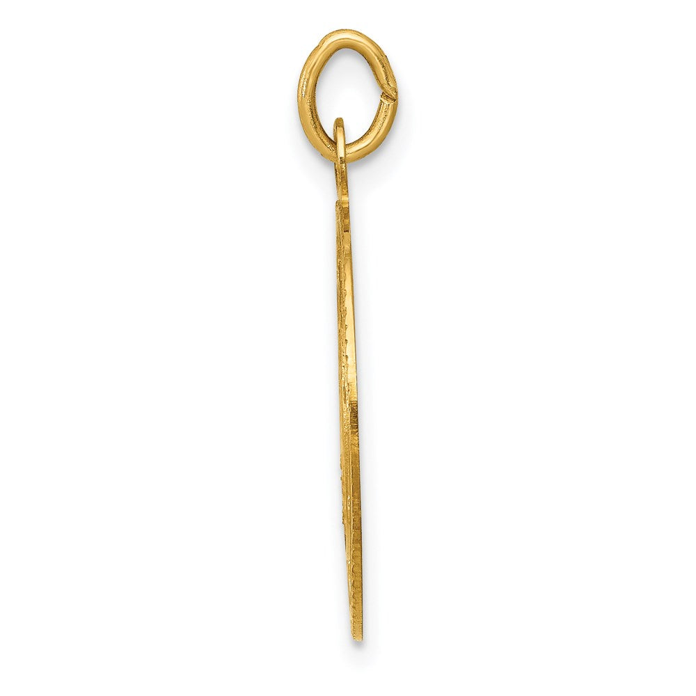 14k U.S. NAVY Insignia Disc Pendant