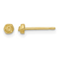 14K Polished Rose Post Earrings