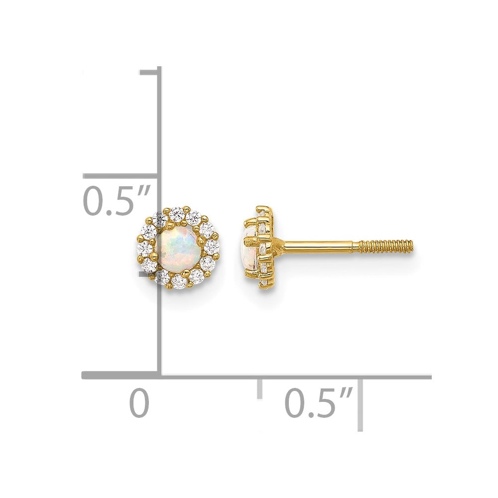 14K Polished CZ and Created Opal Circle Screwback Post Earrings