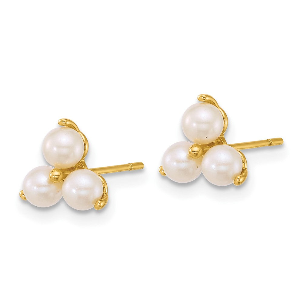 14k Polished Freshwater Cultured Pearls Post Earrings